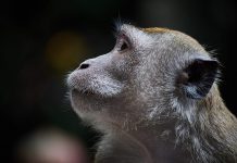 Maneuvers in the Dark